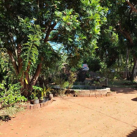 Olivia Homestay Anuradhapura Buitenkant foto