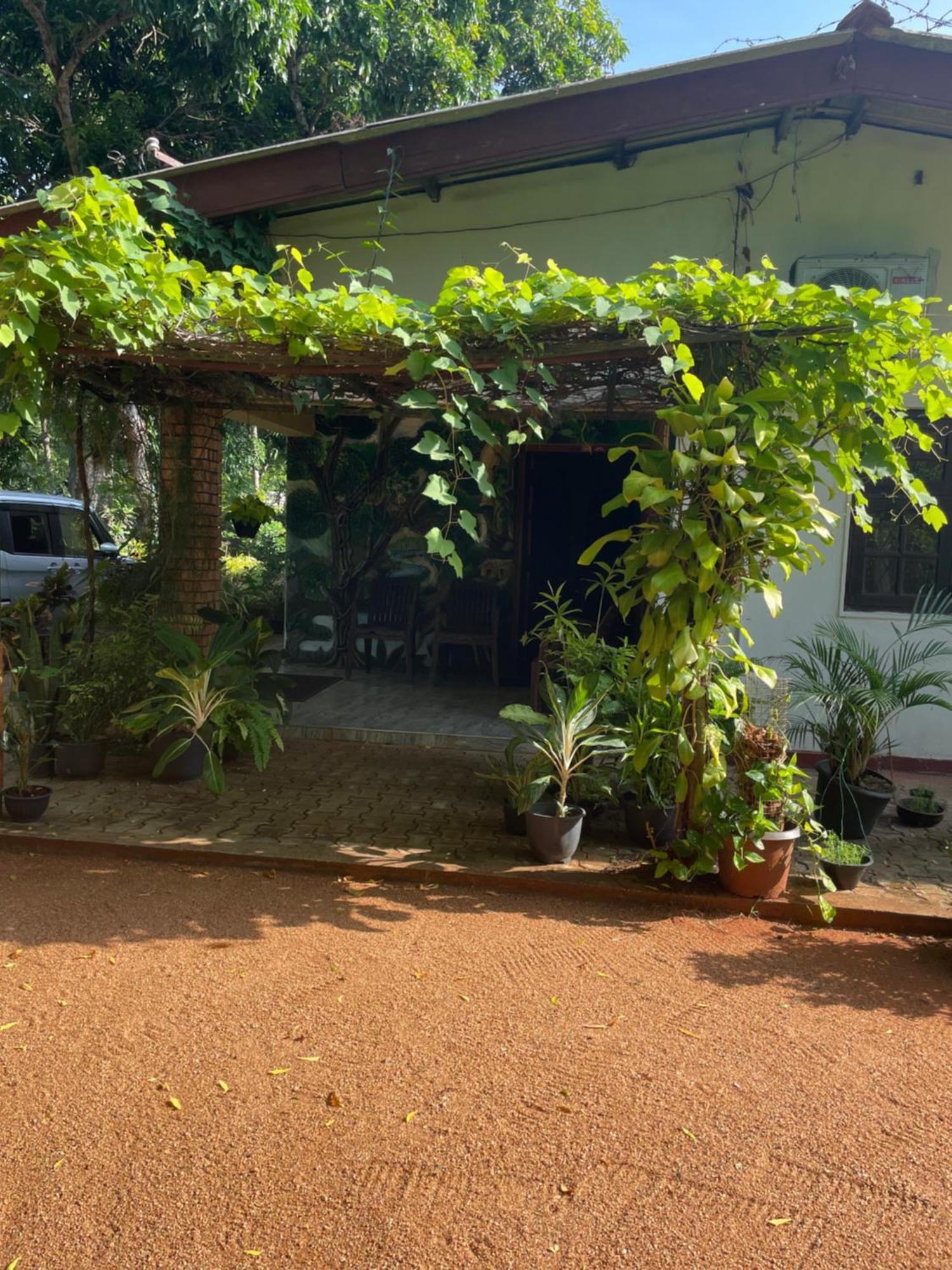 Olivia Homestay Anuradhapura Buitenkant foto