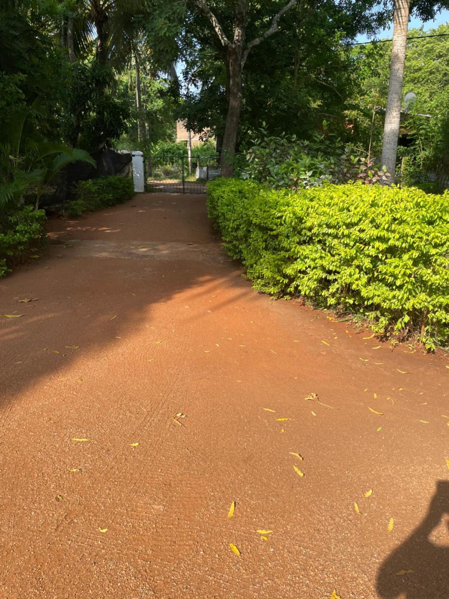 Olivia Homestay Anuradhapura Buitenkant foto