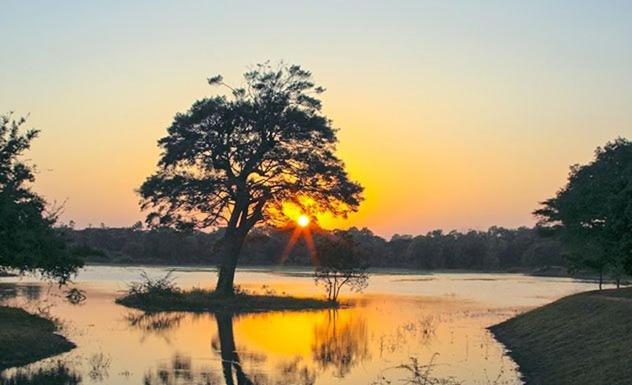 Olivia Homestay Anuradhapura Buitenkant foto